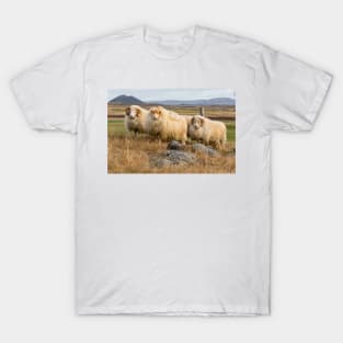 Icelandic Sheep T-Shirt